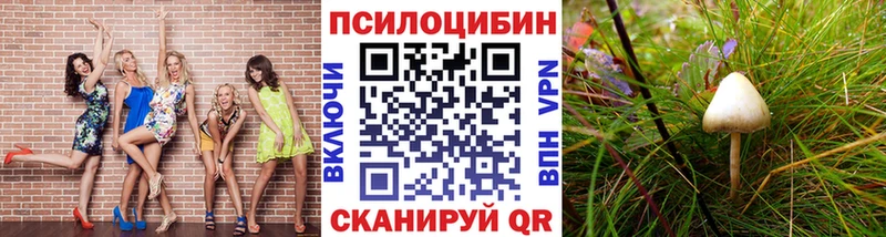 Галлюциногенные грибы Magic Shrooms  Купить закладки  Нерехта 